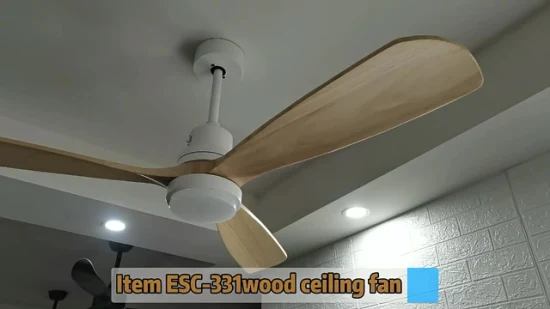 Modern Decorative Remote Control 220V 240V 52 Inch Wood Blades Fan with Light for ceiling