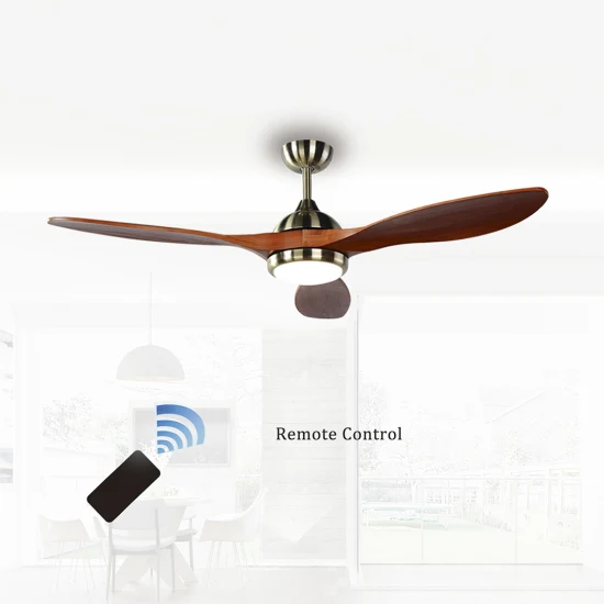 Factory Sale 48 Inch Modern Decorative LED Electric Ceiling Fan with Fancy Light